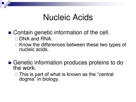 Ppt The Molecules Of Cells Powerpoint Presentation Free Download Id 1441763