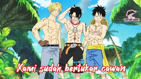 Keluarga Luffy Monkey D Fakta Mengejutkan Keluarga Luffy One Piece