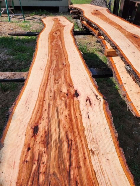 Hardwood Products Pecan Live Edge Slabs