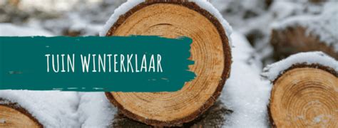 7 Tips Om Je Tuin Winterklaar Te Maken Houtbouw Hiemstra Twijzel