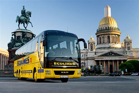 Ecolines Галерея | ECOLINES