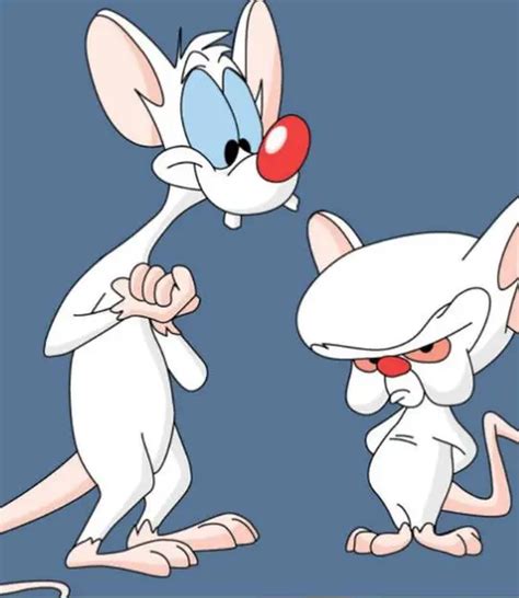 Pinky y Cerebro regresan Conquistarán el mundo esta vez Me lo