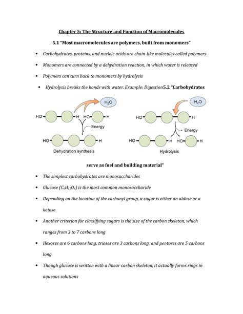 Chapter Outline Summary Campbell Biology Chapter The Structure