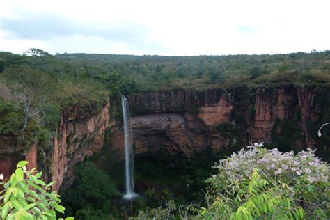 Principais Pontos Tur Sticos Do Cerrado Brasileiro Rotas Do Cerrado