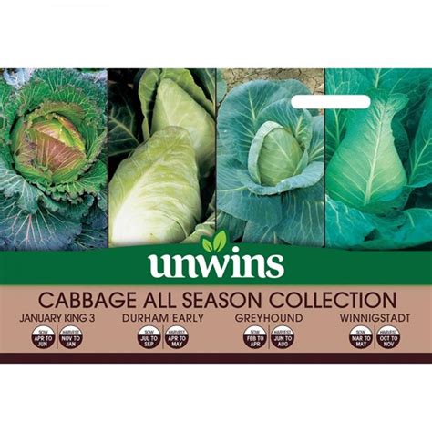 Cabbage All Season Collection Pack Vegetable Seeds Polhill Garden