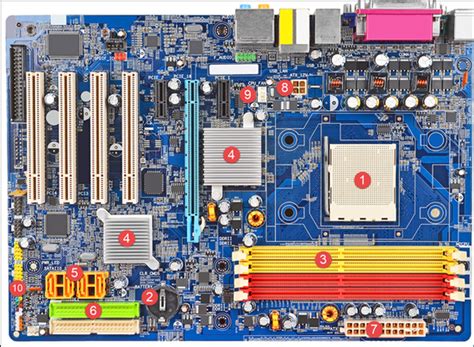 Motherboard Diagram With Labels Motherboard Layout Marcelle Cousteau