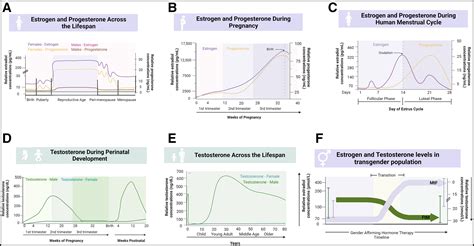 Sex Hormone Signaling And Regulation Of Immune Function Immunity