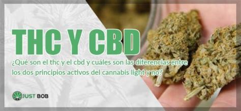 THC Y CBD Todas Las Diferencias Justbob