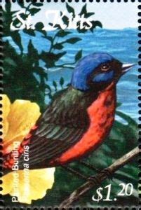 Stamp Painted Bunting Passerina Ciris Saint Kitts Caribbean Flora