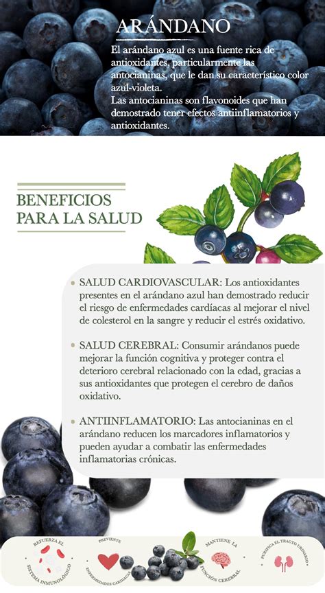 Ficha ArÁndanos Boutique Herbal