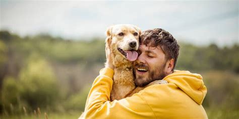 Quel animal peut tuer un chat Ça m intéresse