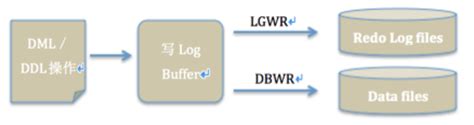 Redo Log之一：理解oracle Redo Log 专家博客 新炬网络