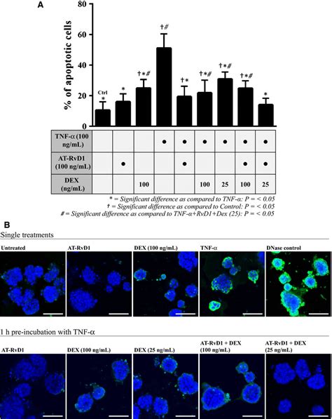 Treatment With Aspirin Triggered Rvd At Rvd And A Reduced Dose Of