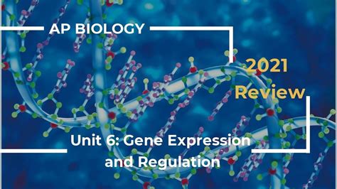 AP Biology Unit 6 Review 2020 YouTube