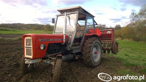 Zdjęcie ciagnik Ursus C 355 Poznaniak 666986 Galeria rolnicza agrofoto