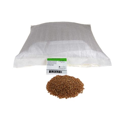 Organic Hard Red Wheat Seed 25 Lb Grow Wheatgrass Flour Grain