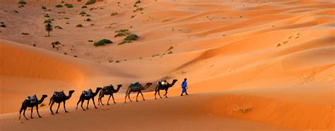 De Sahara Woestijn In Marokko Bezoeken Tips Ervaringen