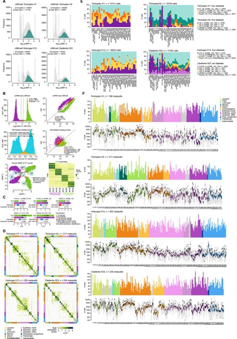 Stepwise Emergence Of The Neuronal Gene Expression Program In Early