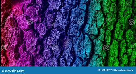 Abstract Closeup Of A Colorful Tree Bark Texture Background Stock Image Image Of Artistic