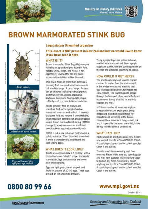 Brown Marmorated Stink Bug Pest Management Association Of New Zealand