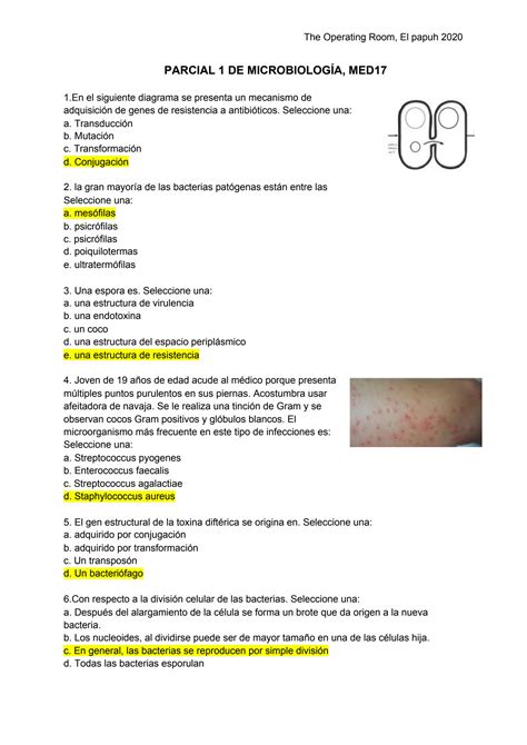 Solution Preguntas De Microbiolog A Studypool