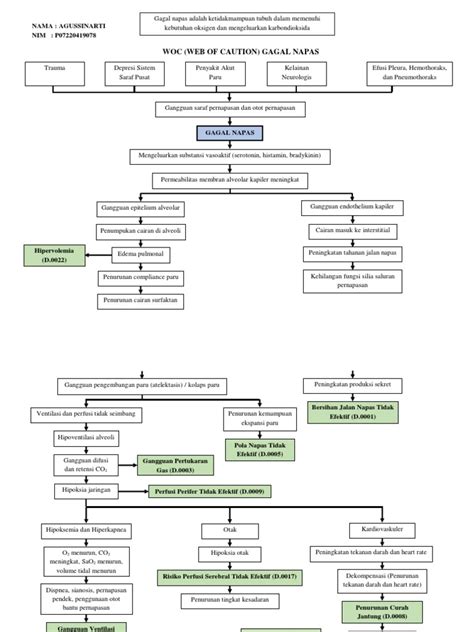 Woc Gagal Napas Agussinarti Fix Pdf