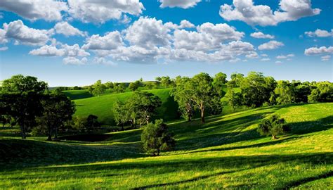 nature, Landscape, Hill, Trees Wallpapers HD / Desktop and Mobile ...