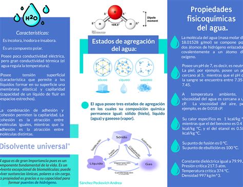 Infografia agua Infografía sobre el agua Bioquímica Studocu