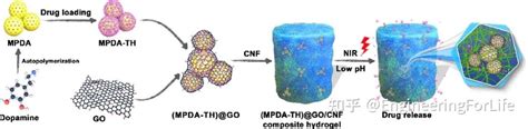 Acs Ami：用于药物控释的新型纳米纤维素基水凝胶 知乎