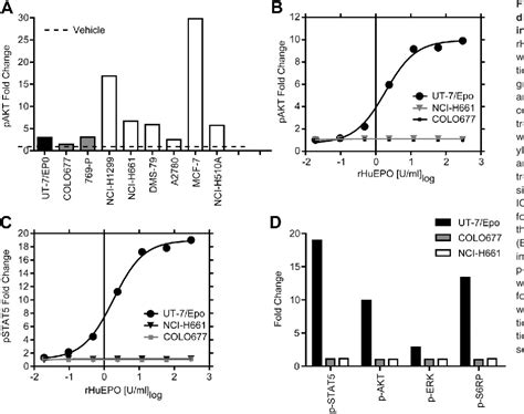 Figure 5 From Absence Of Functional EpoR Expression In Human Tumor Cell