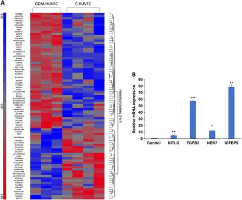 Heat Map Of Microarray Expression Data And Validation Of Two Stated