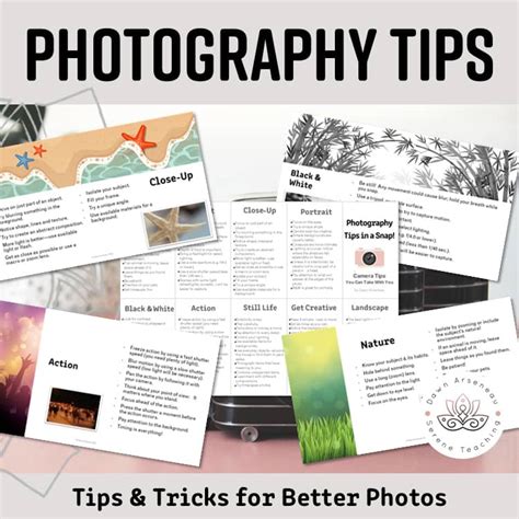 Survival Guide For Photography Tips And Tricks