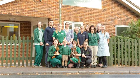 Meet The Team Local Vets In Hampshire Amery Vets