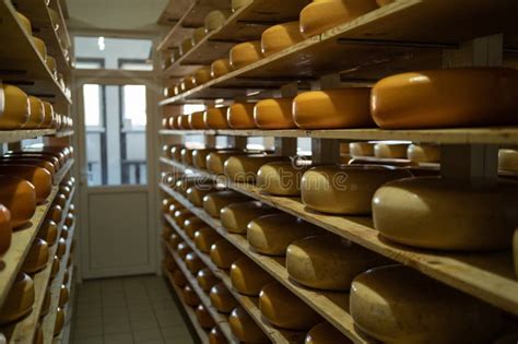 Wooden Shelves with Cheese Wheels Aging at a Cheese Warehouse. Store at ...