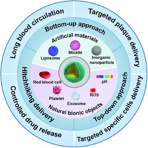 A Schematic Overview Of Nature Inspired Nanocarriers For Drug Delivery