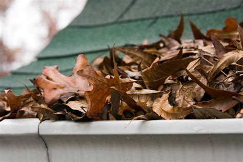 Leaf Clogged Gutters Solution