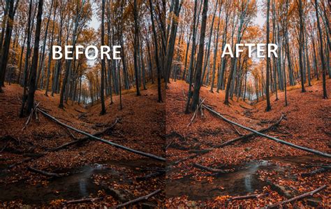 Four Seasons Bundle Lightroom Desktop And Mobile Presets Filtergrade