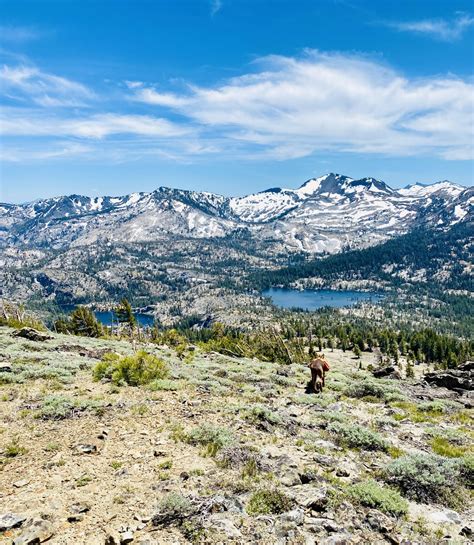 South Lake Tahoe, CA : r/camping