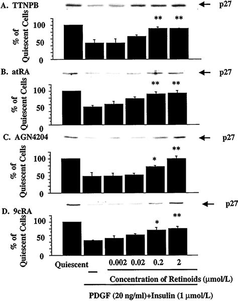 Retinoids Inhibit Proliferation Of Human Coronary Smooth Muscle Cells