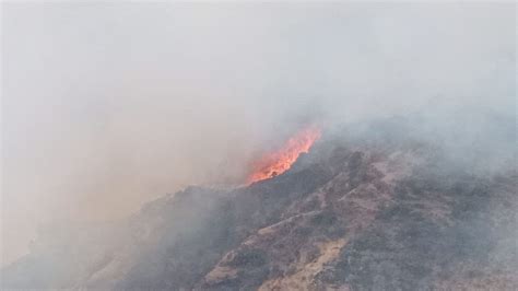 Incendios Forestales En Canadá Afectan A La Calidad Del Aire En Nueva York