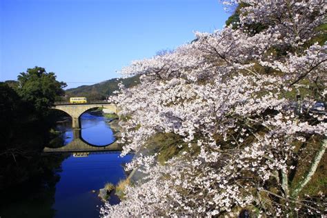 八女くろぎふるさと祭り イベント 【公式】福岡県の観光旅行情報サイト「クロスロードふくおか」