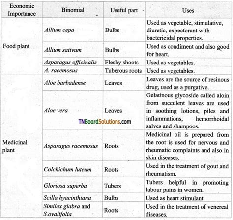 Tn Board Th Bio Botany Important Questions Chapter Taxonomy And