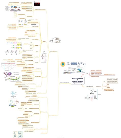 Epigenetic Regulation Of Gene Expression