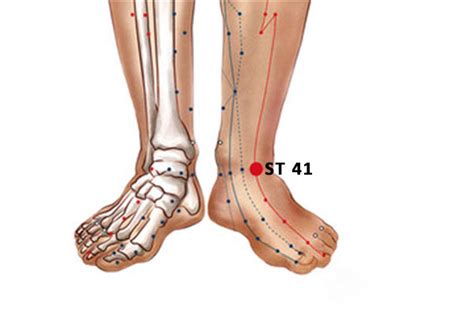 ST 41 Acupuncture Point Jiexi Or Stomach 41 PeakMassager