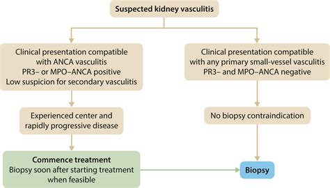 KDIGO 2024 Clinical Practice Guideline For The Management Of