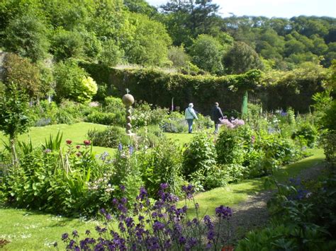 Gallery - Hartland Abbey & Gardens