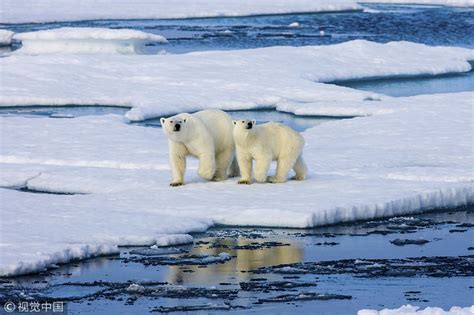 Arctic Lakes Speed Up Permafrost Thawing Global Warming Study Cgtn