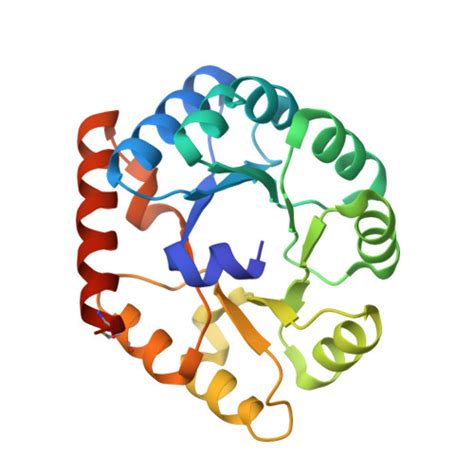 Rcsb Pdb 8far Accurate Computational Design Of Genetically Encoded