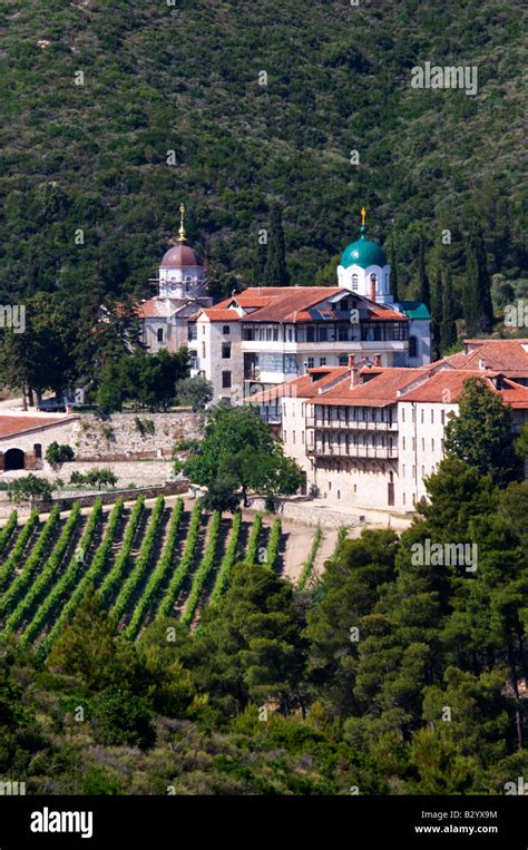 The Tsantalis Sponsored Monastery Vineyard Mount Athos Tsantali