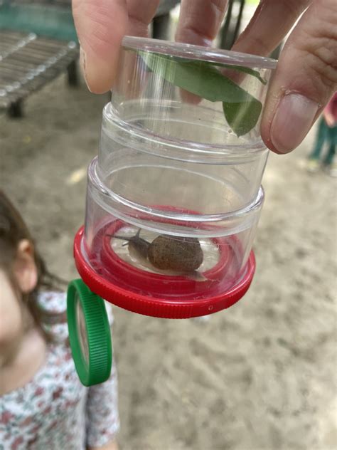 Tiktak Rupsje Nooitgenoeg Het Mussennest